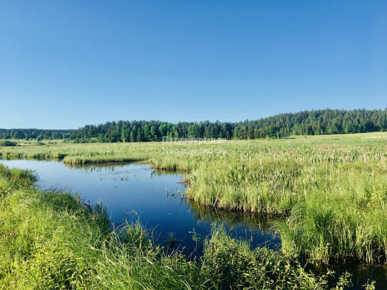 озеро лавиярви карелия