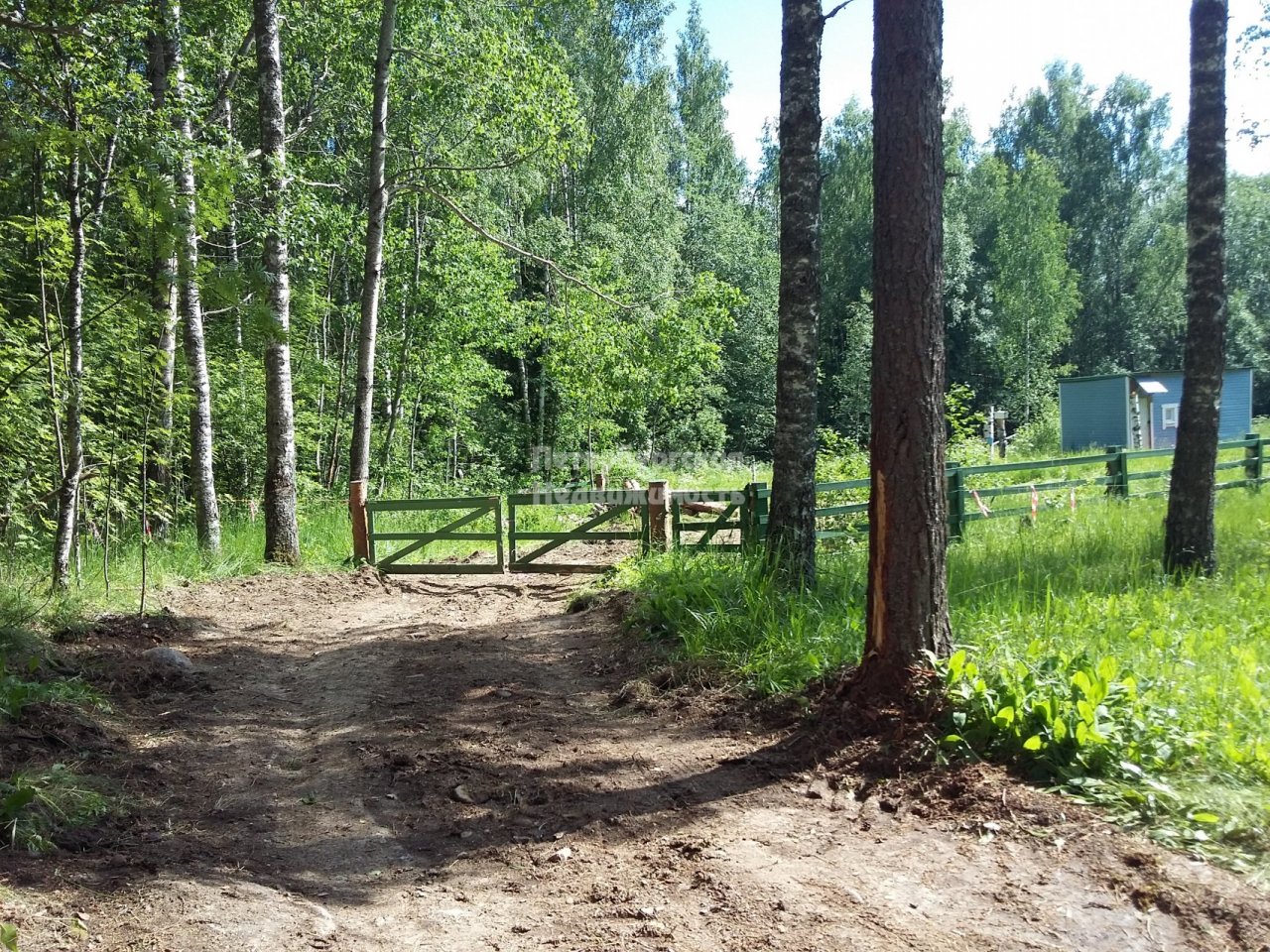 дом в гречухино. погода в приозерском районе гречухино. дом в гречухино проект. днп гречухино. дер.