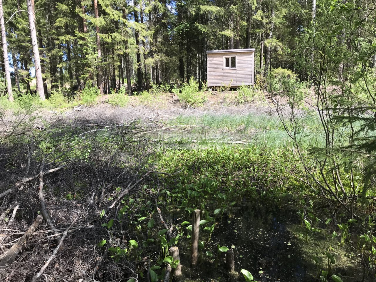 Участок В Нижних Осельках Купить