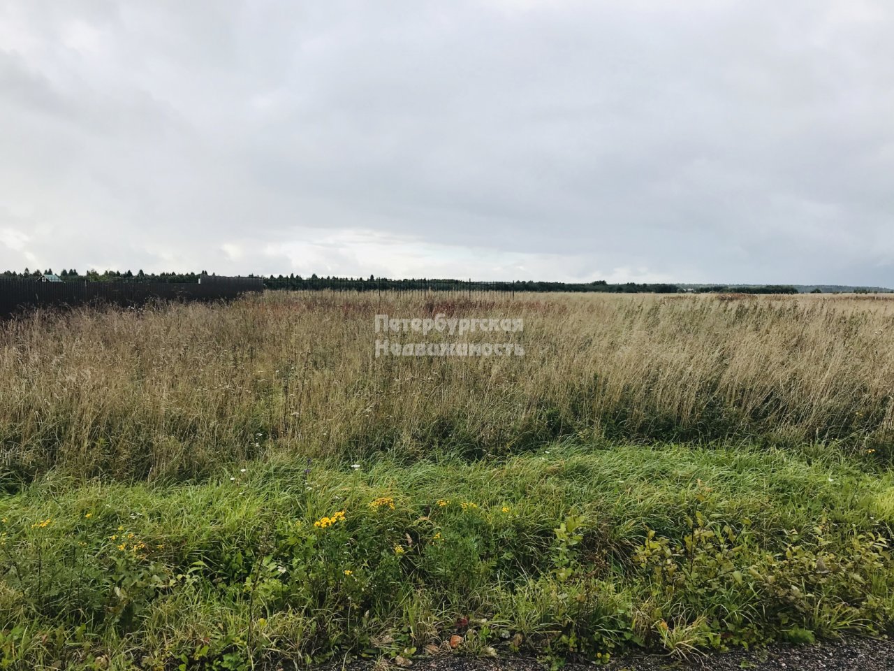 Купить Участок В Зверево Новая Москва